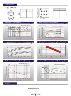 Batería GEL ciclo profundo 12V 28Ah PBCG12-28 - Imagen 4